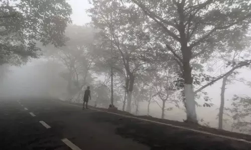 Odisha के इन जिलों में 31 दिसंबर तक शीतलहर चलने की संभावना