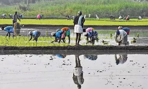 Heavy rains - सही दाम नहीं मिलने से राज्य के किसान परेशान