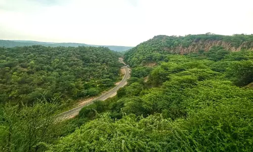 Haryana : अरावली परिभाषा विवाद ऐतिहासिक फैसलों का साल Haryana : अरावली परिभाषा विवाद ऐतिहासिक फैसलों का साल