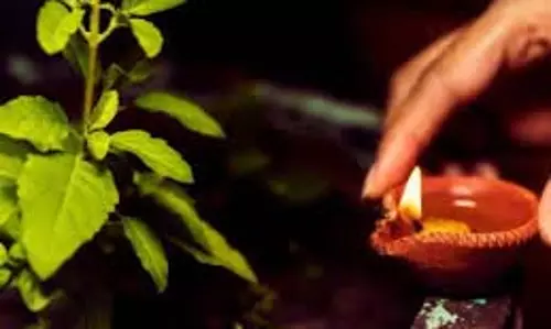 Pausha Putrada Ekadashi 2025: पौष पुत्रदा एकादशी के दिन आज शाम को तुलसी पर कितने बजे जलाएं दीपक, जान लें नियम