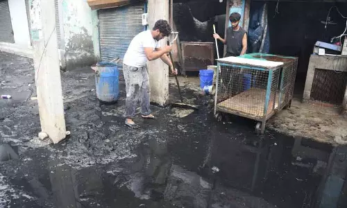 Ludhiana: कचरे की समस्या, खराब इंफ्रास्ट्रक्चर ने इस साल को मुश्किल बना दिया Ludhiana: कचरे की समस्या, खराब इंफ्रास्ट्रक्चर ने इस साल को मुश्किल बना दिया