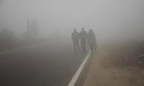 Haryana : घना कोहरा छाया दिल्ली एयरपोर्ट पर उड़ानें प्रभावित Haryana : घना कोहरा छाया दिल्ली एयरपोर्ट पर उड़ानें प्रभावित