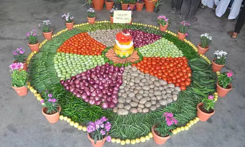 Vijayapura : कृषि मेला 4 जनवरी से