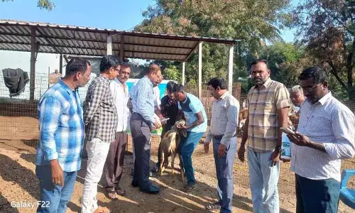 सर्दियों में पशुओं के स्वास्थ्य का ध्यान रखें: Dr. Linga Reddy सर्दियों में पशुओं के स्वास्थ्य का ध्यान रखें: Dr. Linga Reddy