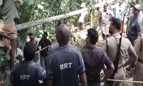 Pathanamthitta में बाघ कुएं में गिरा, बचाव प्रयास जारी Pathanamthitta में बाघ कुएं में गिरा, बचाव प्रयास जारी