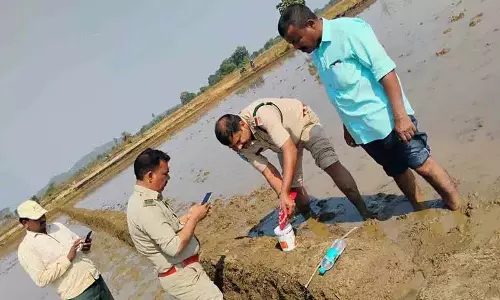Karimnagar के बाहरी इलाकों में एक बाघ घूमता हुआ देखा गया Karimnagar के बाहरी इलाकों में एक बाघ घूमता हुआ देखा गया