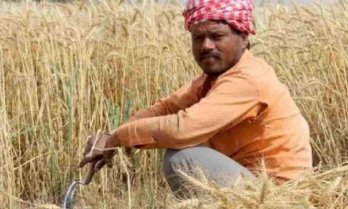 Gondia में 50,000 किसान 409 करोड़ रुपये के बकाया कर्ज से जूझ रहे Gondia में 50,000 किसान 409 करोड़ रुपये के बकाया कर्ज से जूझ रहे
