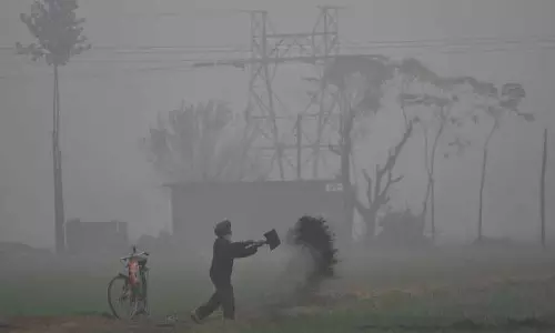 Tarn Taran में ठंड और कोहरे से किसान और मजदूर परेशान