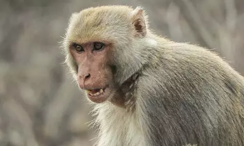 Hanuman की टीम ने अस्पताल का शीशा तोड़ा, ड्राइवरों ने गुस्सा जताया Hanuman की टीम ने अस्पताल का शीशा तोड़ा, ड्राइवरों ने गुस्सा जताया