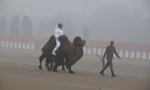 दिल्ली : पहली बार कर्तव्य पथ पर कदमताल करेंगे डबल हंप बैक्ट्रियन ऊंट दिल्ली : पहली बार कर्तव्य पथ पर कदमताल करेंगे डबल हंप बैक्ट्रियन ऊंट