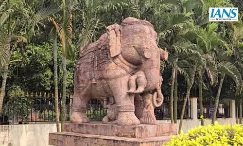 ओडिशा में नए साल 2026 से पहले पुरी और कोणार्क में पर्यटकों की भारी भीड़ ओडिशा में नए साल 2026 से पहले पुरी और कोणार्क में पर्यटकों की भारी भीड़