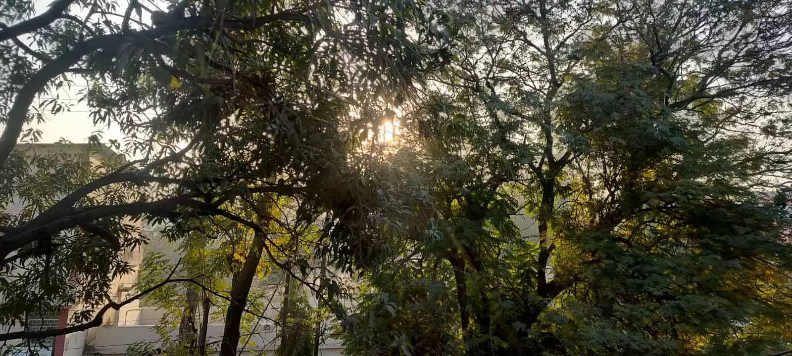 रायपुर : तापमान 10 डिग्री के नीचे गिरा, आज फिर ठंड बढ़ी रायपुर : तापमान 10 डिग्री के नीचे गिरा, आज फिर ठंड बढ़ी