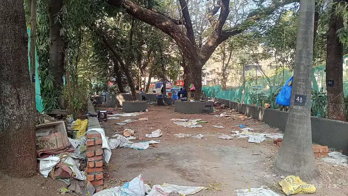 Mumbai : CRZ-प्रोटेक्टेड गार्डन से पेड़ हटाए जाने से बांद्रा के लोग परेशान Mumbai : CRZ-प्रोटेक्टेड गार्डन से पेड़ हटाए जाने से बांद्रा के लोग परेशान