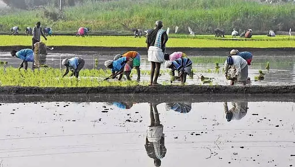 Heavy rains - सही दाम नहीं मिलने से राज्य के किसान परेशान Heavy rains - सही दाम नहीं मिलने से राज्य के किसान परेशान