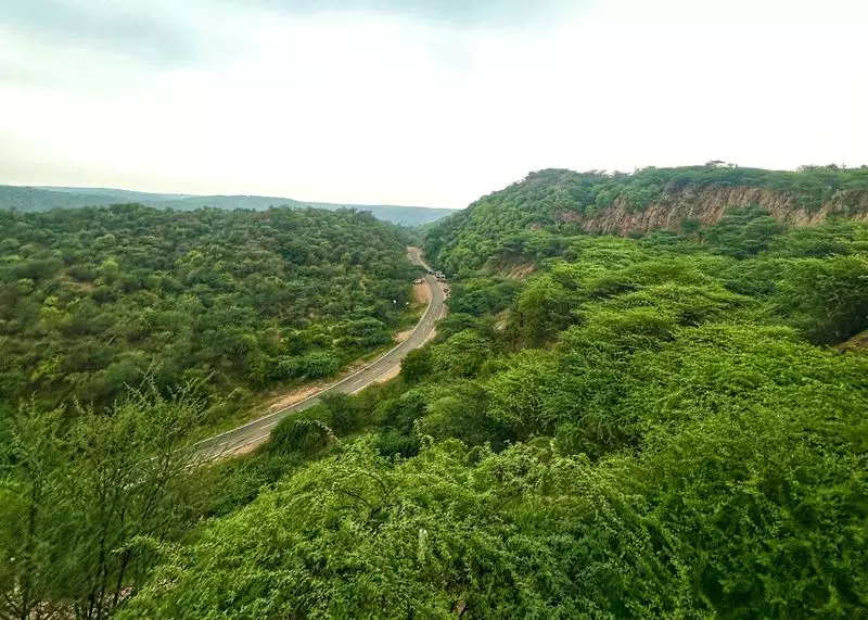 Haryana : अरावली परिभाषा विवाद ऐतिहासिक फैसलों का साल Haryana : अरावली परिभाषा विवाद ऐतिहासिक फैसलों का साल