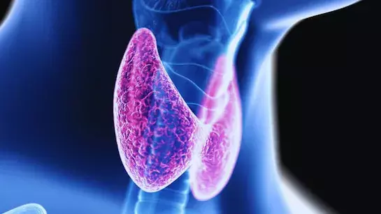 Health: वजन बढ़ना और थकावट हो सकती है थायराइड की निशानी Health: वजन बढ़ना और थकावट हो सकती है थायराइड की निशानी