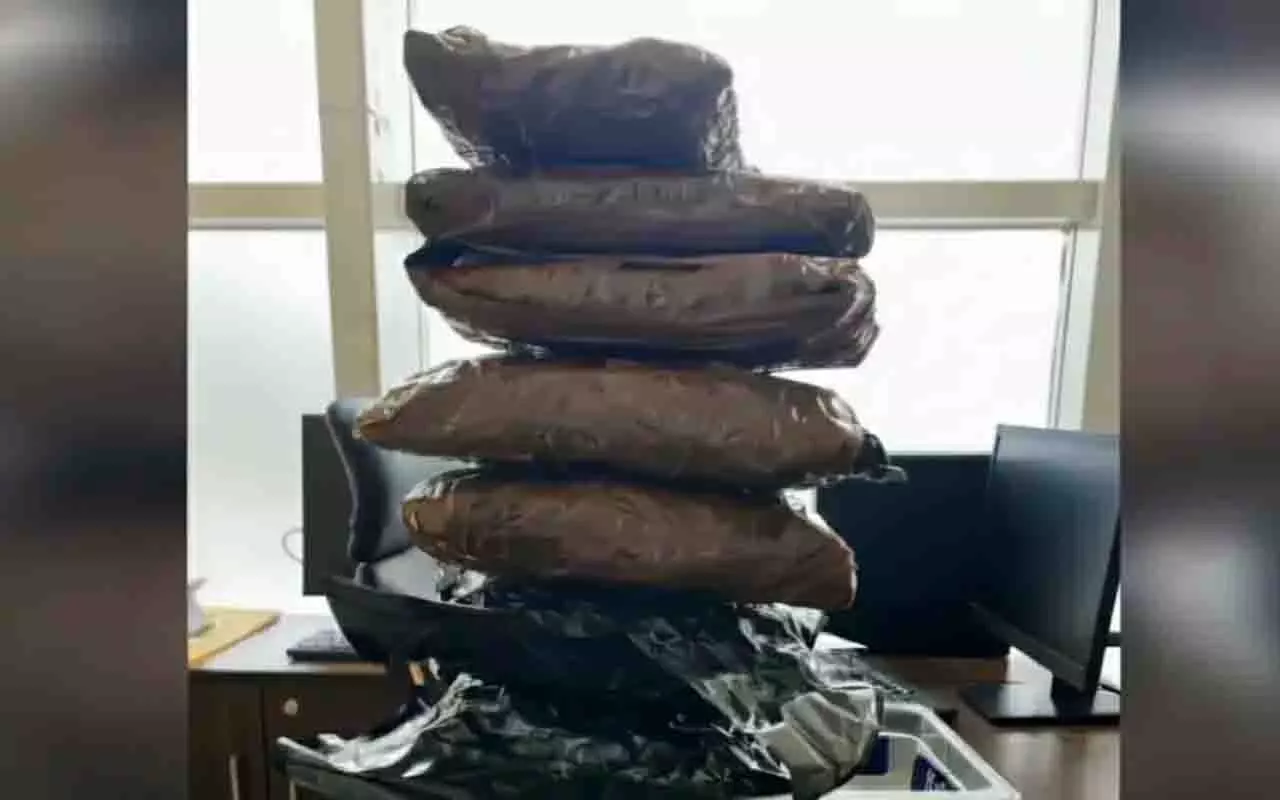 Bhubaneswar: 4 करोड़ रुपये की मारिजुआना ज़ब्त, नए साल की सप्लाई संदिग्ध Bhubaneswar: 4 करोड़ रुपये की मारिजुआना ज़ब्त, नए साल की सप्लाई संदिग्ध