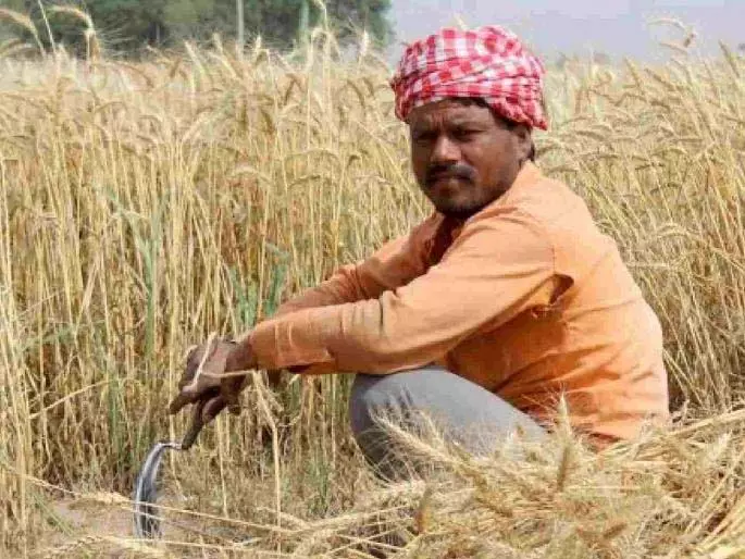 Gondia में 50,000 किसान 409 करोड़ रुपये के बकाया कर्ज से जूझ रहे Gondia में 50,000 किसान 409 करोड़ रुपये के बकाया कर्ज से जूझ रहे