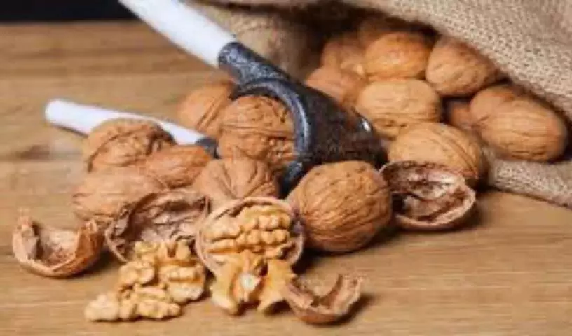 रोज़ाना अखरोट खाने से ये अद्भुत स्वास्थ्य लाभ होंगे रोज़ाना अखरोट खाने से ये अद्भुत स्वास्थ्य लाभ होंगे