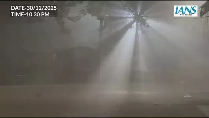 पाटियाला में कड़ी धुंध से कम हुई दृश्यता, यातायात प्रभावित पाटियाला में कड़ी धुंध से कम हुई दृश्यता, यातायात प्रभावित