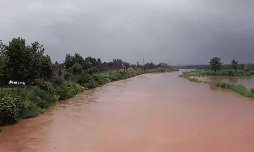 इंडस्ट्रियल एरिया को बाढ़ से बचाने के लिए दीवार प्रोजेक्ट