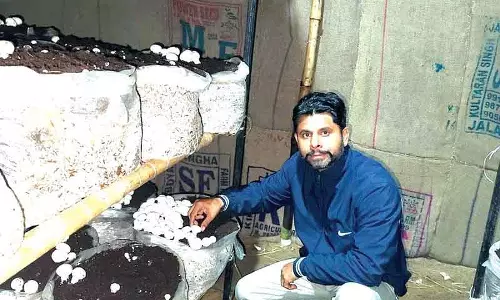 सिरसा के एक टीचर ने अपने पैशन को अवार्ड विनिंग मशरूम वेंचर में बदल दिया सिरसा के एक टीचर ने अपने पैशन को अवार्ड विनिंग मशरूम वेंचर में बदल दिया