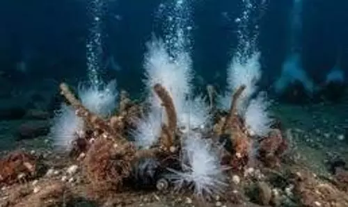Science:ग्रीनलैंड के समुद्र तल में मिला दुनिया का सबसे गहरा गैस हाइड्रेट Science:ग्रीनलैंड के समुद्र तल में मिला दुनिया का सबसे गहरा गैस हाइड्रेट