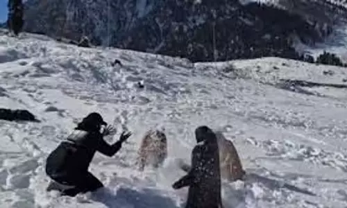 Jammu Kashmir :पर्यटन ने फिर पकड़ी रफ्तार