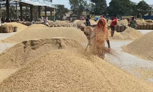 Haryana : धान घोटाला 2022-23 घरौंडा मंडी पैनल के पूर्व सचिव समेत 7 पर मामला दर्ज