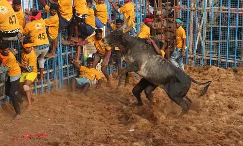 Tamil Nadu: बुल स्पोर्ट को वर्ल्ड-क्लास कमेंट्री का दर्जा दिया गया, उत्साही लोगों ने कमी बताई Tamil Nadu: बुल स्पोर्ट को वर्ल्ड-क्लास कमेंट्री का दर्जा दिया गया, उत्साही लोगों ने कमी बताई