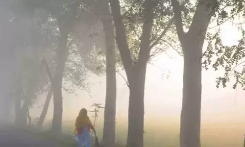 Odisha में कड़ाके की ठंड, झारसुगुड़ा में सबसे कम तापमान 6.3°C दर्ज