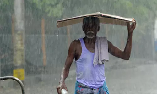 IMD रिपोर्ट: पूर्वोत्तर मानसून का असर, तमिलनाडु में गिरावट दर्ज IMD रिपोर्ट: पूर्वोत्तर मानसून का असर, तमिलनाडु में गिरावट दर्ज