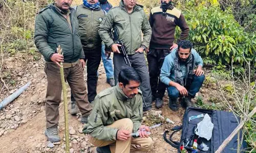 Samba village से मादा तेंदुए के बच्चे को बचाया गया