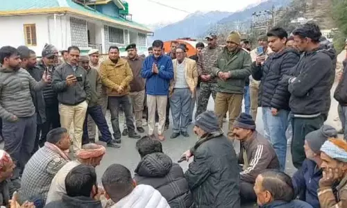 Bharmour में भालुओं ने 3 महिलाओं को घायल कर दिया
