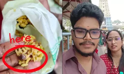 Simhachalam Prasadam में दिखा घोंघा, भक्तों ने पोस्ट किया वीडियो
