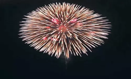 Tokyo में Happy New Year 2026 का भव्य स्वागत