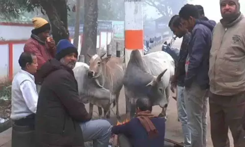 कंधमाल में कड़ाके की ठंड और घना कोहरा, तापमान 5°C से नीचे
