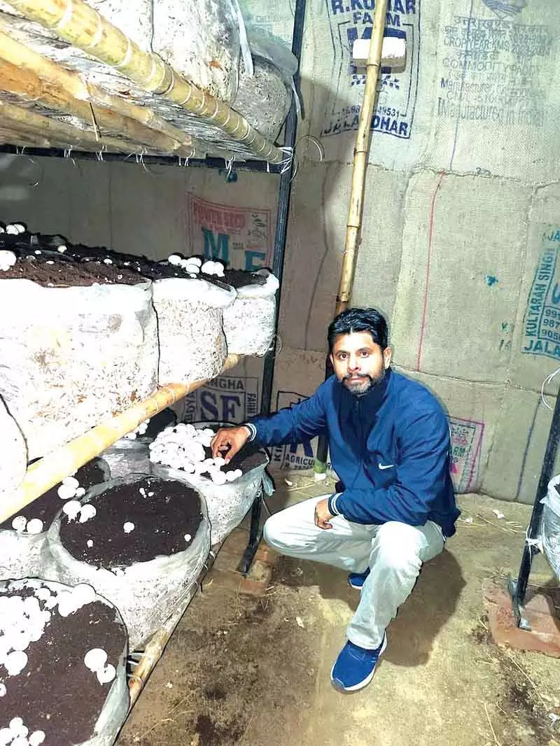 सिरसा के एक टीचर ने अपने पैशन को अवार्ड विनिंग मशरूम वेंचर में बदल दिया सिरसा के एक टीचर ने अपने पैशन को अवार्ड विनिंग मशरूम वेंचर में बदल दिया