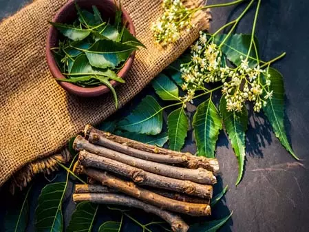 ओरल हेल्थ के लिए वरदान दातुन: सिर्फ दांतों के लिए नहीं, पूरे शरीर के लिए भी है लाभकारी ओरल हेल्थ के लिए वरदान दातुन: सिर्फ दांतों के लिए नहीं, पूरे शरीर के लिए भी है लाभकारी
