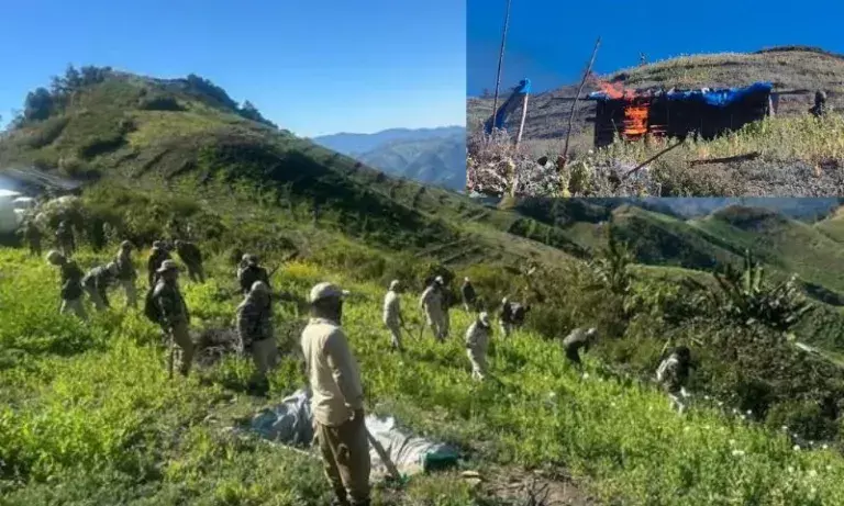Manipur: चुराचांदपुर में अवैध अफीम के खेत नष्ट किए गए, झोपड़ियां जलाई गईं Manipur: चुराचांदपुर में अवैध अफीम के खेत नष्ट किए गए, झोपड़ियां जलाई गईं