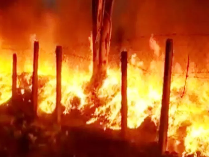किसान को बर्बाद करने धान में आग लगाया, तीन उपद्रवी गिरफ्तार किसान को बर्बाद करने धान में आग लगाया, तीन उपद्रवी गिरफ्तार