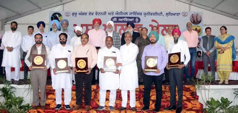 Veterinary University ने उपलब्धियां हासिल कीं, तारीफें बटोरीं Veterinary University ने उपलब्धियां हासिल कीं, तारीफें बटोरीं