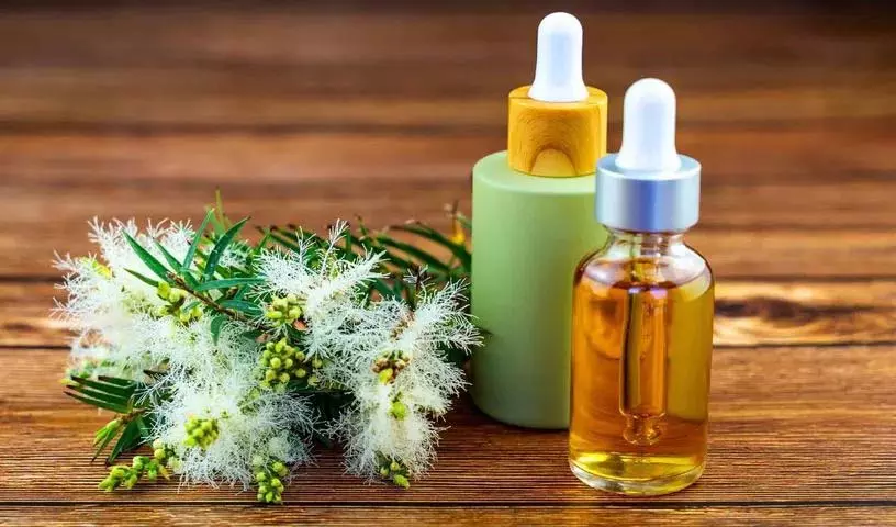 क्या आप जानते हैं कि Tea Tree Oil हमारे लिए कितने तरह से उपयोगी है? क्या आप जानते हैं कि Tea Tree Oil हमारे लिए कितने तरह से उपयोगी है?