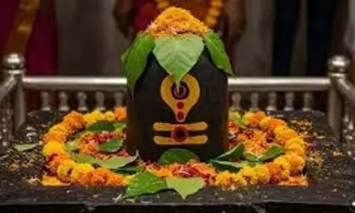 Pradosh Vrat 2026: आज रखा जाएगा प्रदोष व्रत, शिवलिंग पर अर्पित करें ये चीजें Pradosh Vrat 2026: आज रखा जाएगा प्रदोष व्रत, शिवलिंग पर अर्पित करें ये चीजें