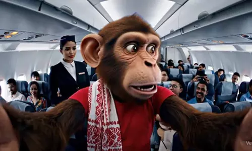 यह AI Monkey चैनल YouTube पर हर साल 38 करोड़ रुपये कमा रहा है