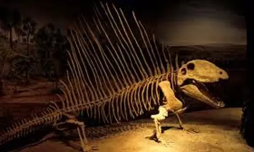 Science: अधूरे कंकाल से वैज्ञानिकों से कर दी बड़ी खोज