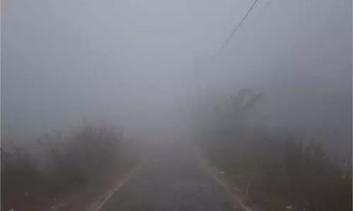 Bihar Weather : नये साल की शुरुआत में ठंड का कहर, 25 जिलों में Orange Alert
