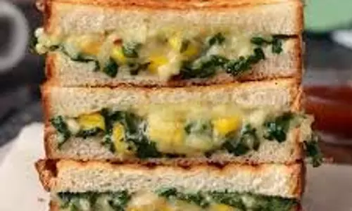 Palak Corn Sandwich Recipe:नाश्ते में बनाकर खाएं हेल्दी पालक कॉर्न सैंडविच Palak Corn Sandwich Recipe:नाश्ते में बनाकर खाएं हेल्दी पालक कॉर्न सैंडविच