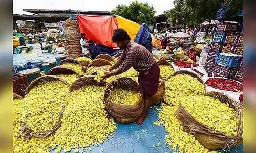 Tamil Nadu में फूलों की कीमतें बढ़ीं, तिरुपुर में चमेली 2,400 रुपये प्रति किलो पर पहुंची Tamil Nadu में फूलों की कीमतें बढ़ीं, तिरुपुर में चमेली 2,400 रुपये प्रति किलो पर पहुंची