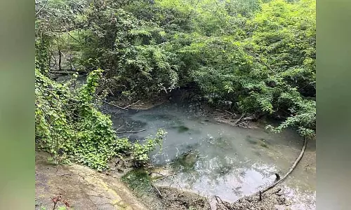 Ayanavaram में मेट्रो वाटर की ज़मीन पर सीवेज बहाया गया, कचरा फेंका गया Ayanavaram में मेट्रो वाटर की ज़मीन पर सीवेज बहाया गया, कचरा फेंका गया